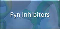 FYN